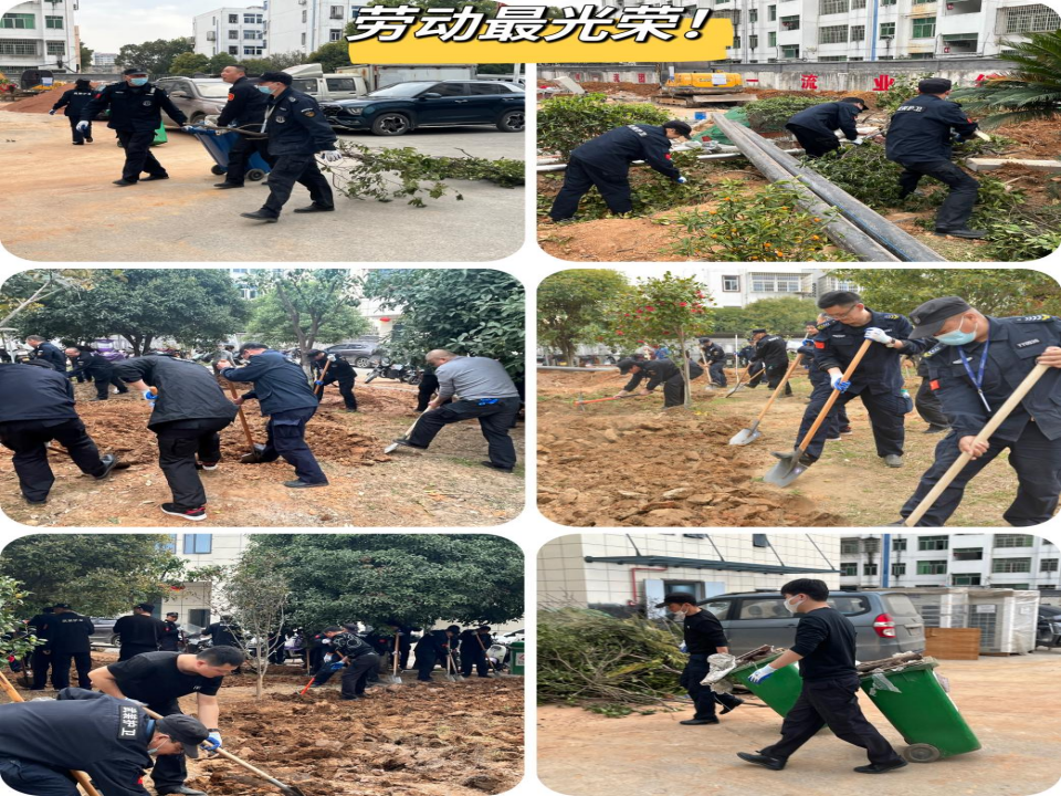 图片 3.png
